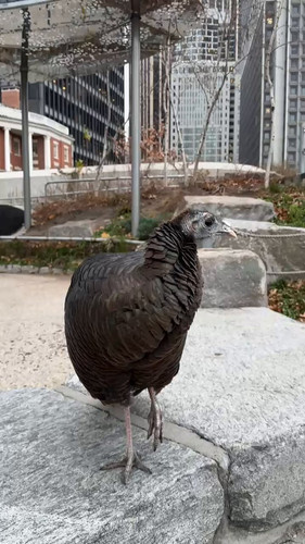 aIKXG 9i8hUAVab1.jpg