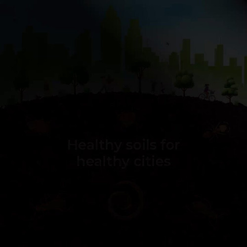 iQO2rYcG72 qD44I.jpg