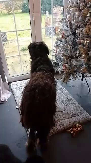 KTueMdFLhA 8gnyl.jpg