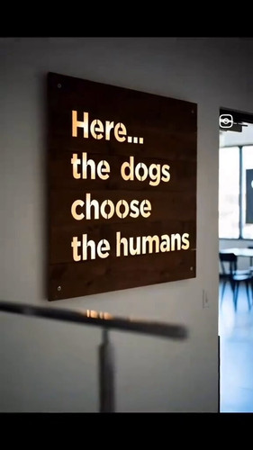 BpE3SlgBwgVJP0 N.jpg