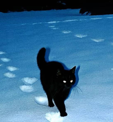 IMG 20251206 143126.jpg