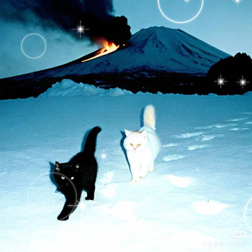 Camera XHS 17650028542471040g00831bo5u7jc0u6g5o5hvq7g803dcmerdt0.jpg