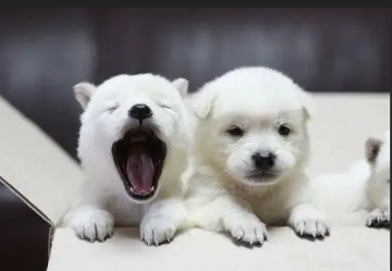 스크린샷 2025 12 06 234600.png