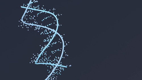 wrgb9zWCE4nbxGx .jpg