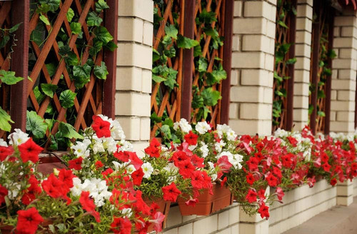 61gq17aT2aL. AC SL1000 .jpg