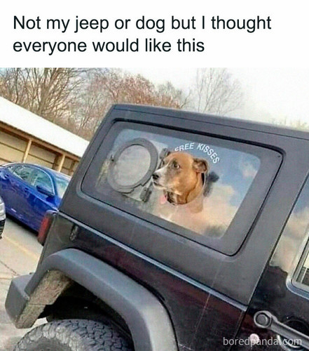 funny dog memes dogmemesofinsta 21 66df08dae5c85 700.jpg