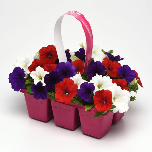 71yqxyvqjaL. AC SL1500 .jpg