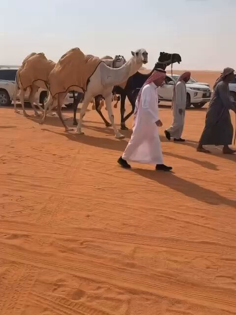 xU1xx zWUNK6frsC.jpg