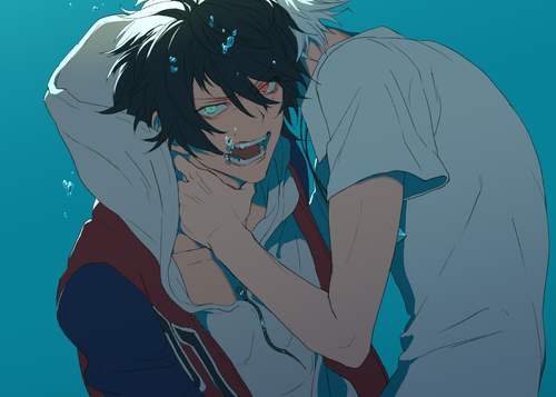 IMG 6978.png