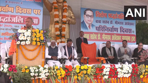 zombEtk2bv bfaqN.jpg