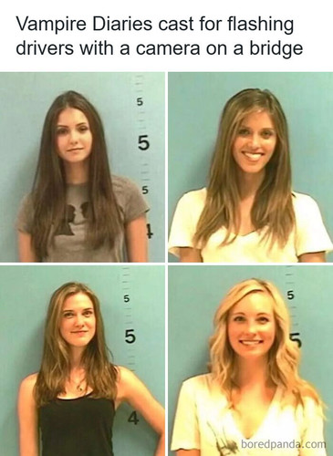 celebrity crime mugshots pics.jpg