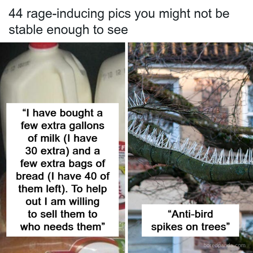 rage inducing pics.png