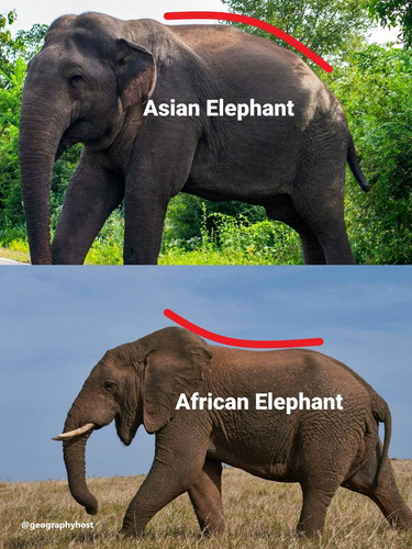G7Z7FCxbUAAxtrB.jpg