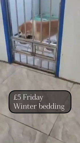 0pBecjRKgLjDs08F.jpg