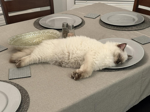 594609783 10165377147366062 6151132744041543395 n.jpg