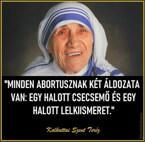 593487992 1312163230947939 7688078739891497697 n.jpg?stp=dst jpg p526x296 tt6& nc cat=103&ccb=1 7& n.jpg