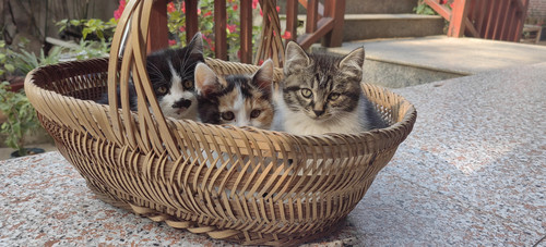 IMG 20251206 110512.jpg