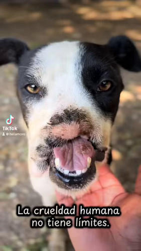 VxevACxDGH 5 6Ea.jpg