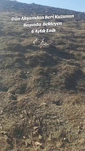 e0jRB3 N0Jmf3w7P.jpg