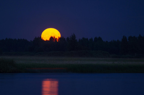 pexels photo 9173050.jpg