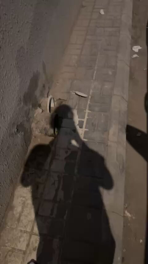 IoiuDS NRyB SITP.jpg