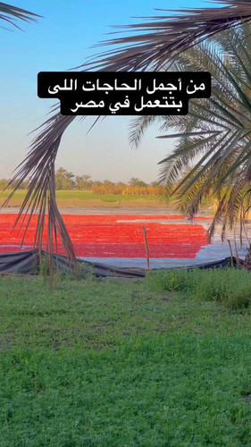 3 bK4CNInFuL1Pqt.jpg