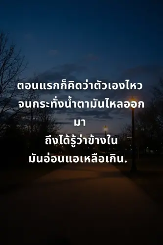 3c03411aecd1.webp