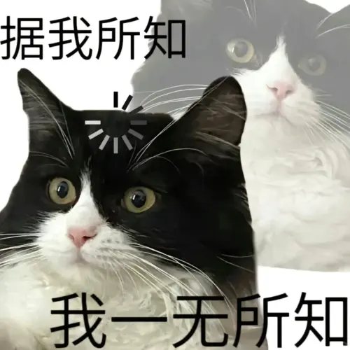 1625d5b3a703.webp