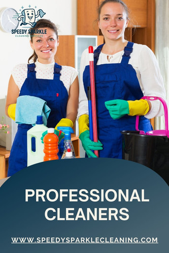 professional cleaners.jpg