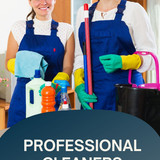 professional cleaners