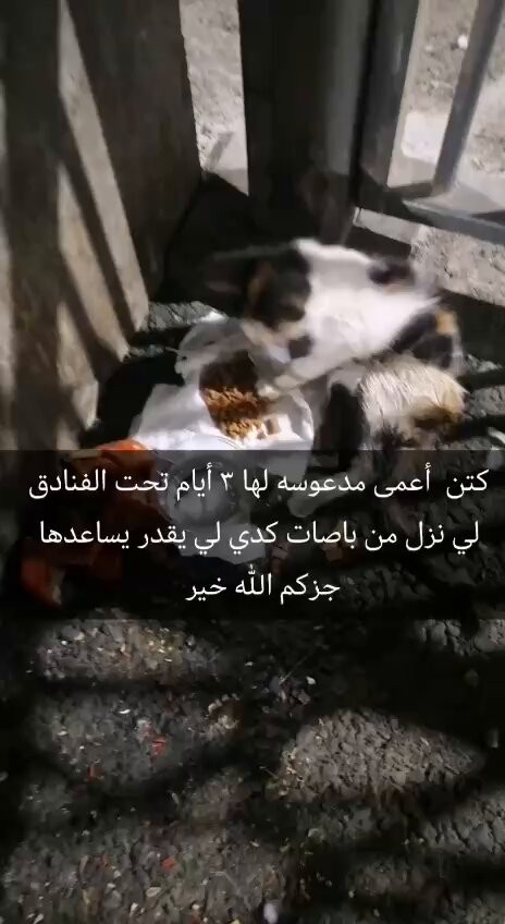 CEn2ZryFvTCU bSz.jpg