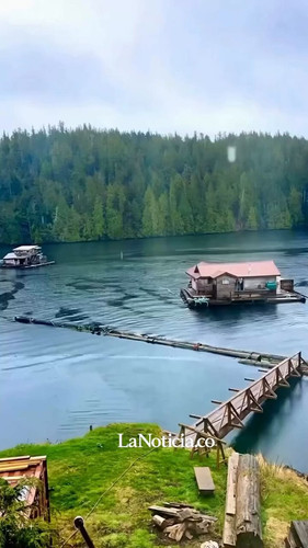 NKMB8XWDQ 7XgBGH.jpg