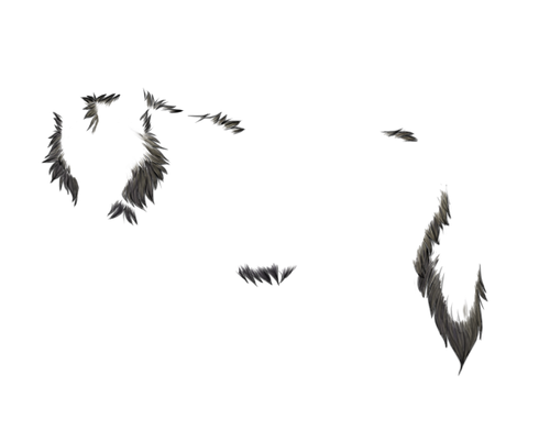 Iron Husky Fur.png