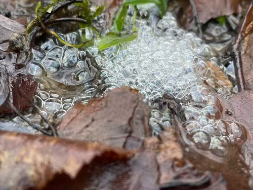 8q7HnMgF bJuA7vo.jpg