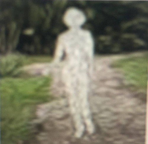 photo 4 2026 01 17 02 30 06.jpg