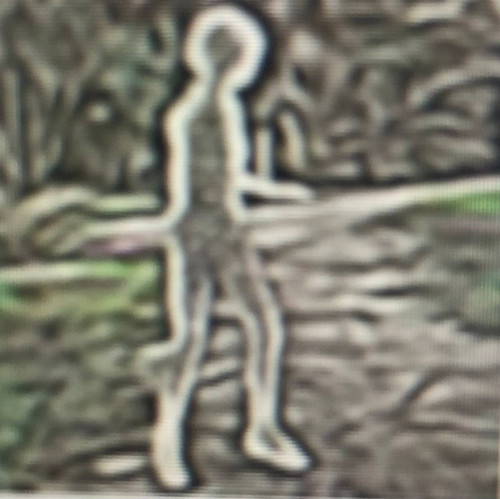 photo 3 2026 01 17 02 30 06.jpg