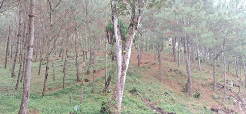 WhatsApp Image 2026 01 16 at 3.40.10 PM.jpg