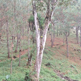 WhatsApp Image 2026 01 16 at 3.40.10 PM