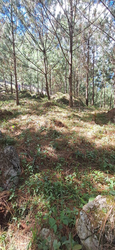 WhatsApp Image 2026 01 16 at 3.40.11 PM.jpg