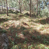 WhatsApp Image 2026 01 16 at 3.40.11 PM