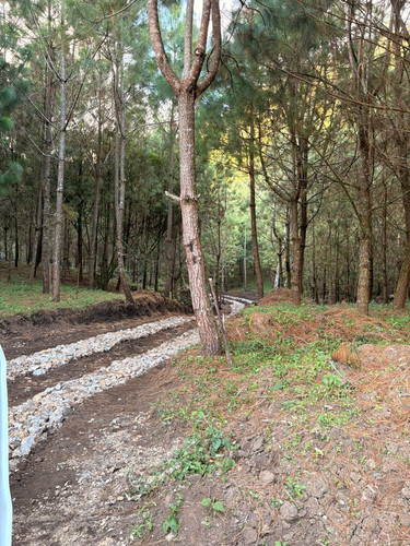 WhatsApp Image 2026 01 16 at 3.39.39 PM.jpg