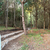 WhatsApp Image 2026 01 16 at 3.39.39 PM