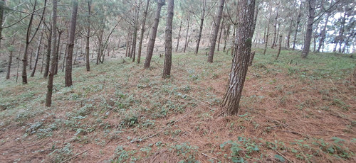 WhatsApp Image 2026 01 16 at 3.40.10 PM (3).jpg