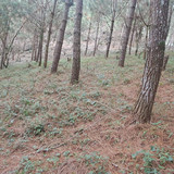 WhatsApp Image 2026 01 16 at 3.40.10 PM (3)