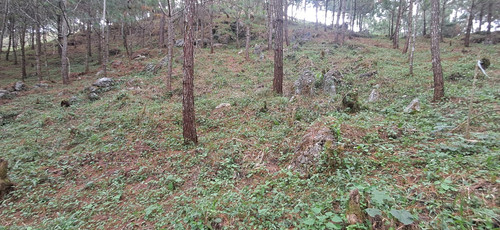 WhatsApp Image 2026 01 16 at 3.40.10 PM (4).jpg