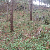 WhatsApp Image 2026 01 16 at 3.40.10 PM (4)