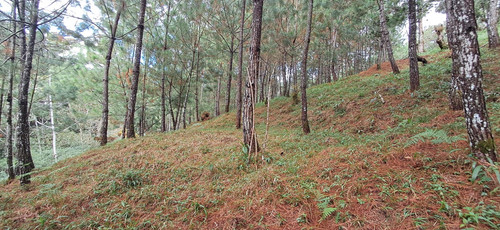 WhatsApp Image 2026 01 16 at 3.40.10 PM (1).jpg