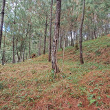 WhatsApp Image 2026 01 16 at 3.40.10 PM (1)