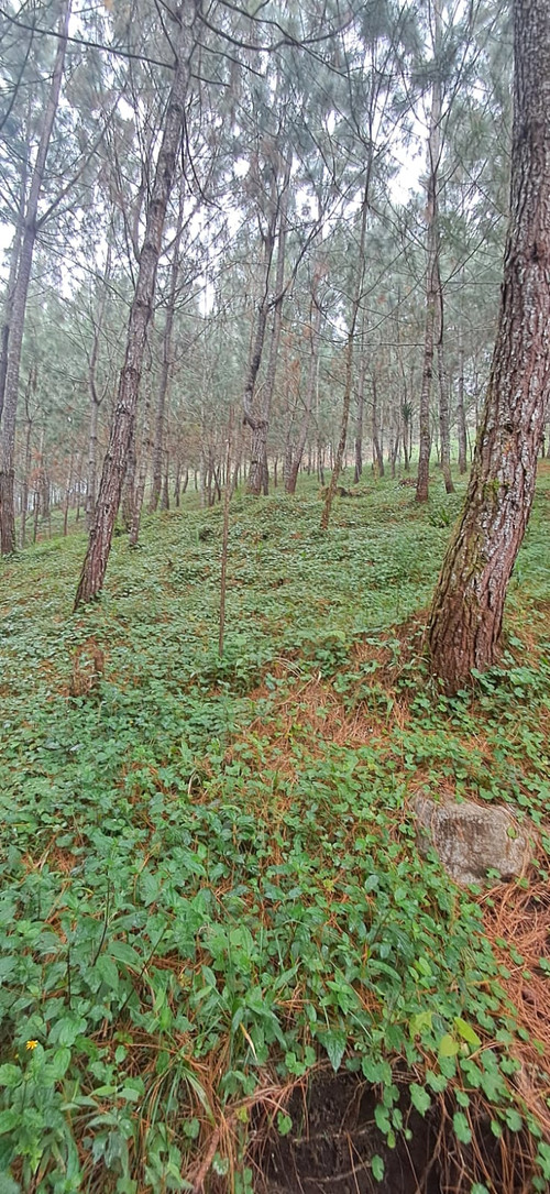 WhatsApp Image 2026 01 16 at 3.40.09 PM.jpg