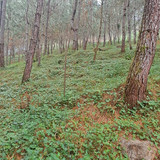 WhatsApp Image 2026 01 16 at 3.40.09 PM